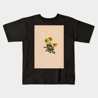 Lake Louise Arnica-Vintage Print-North American Wild Flower-Art Prints-Mugs,Cases,Duvets,T Shirts,Stickers,etc Kids T-Shirt
